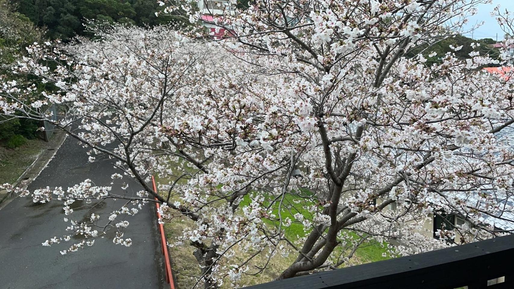 Shirahama Meiji Villa Екстер'єр фото